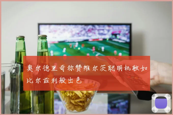 奥尔德里奇称赞维尔茨聪明机敏如比尔兹利般出色