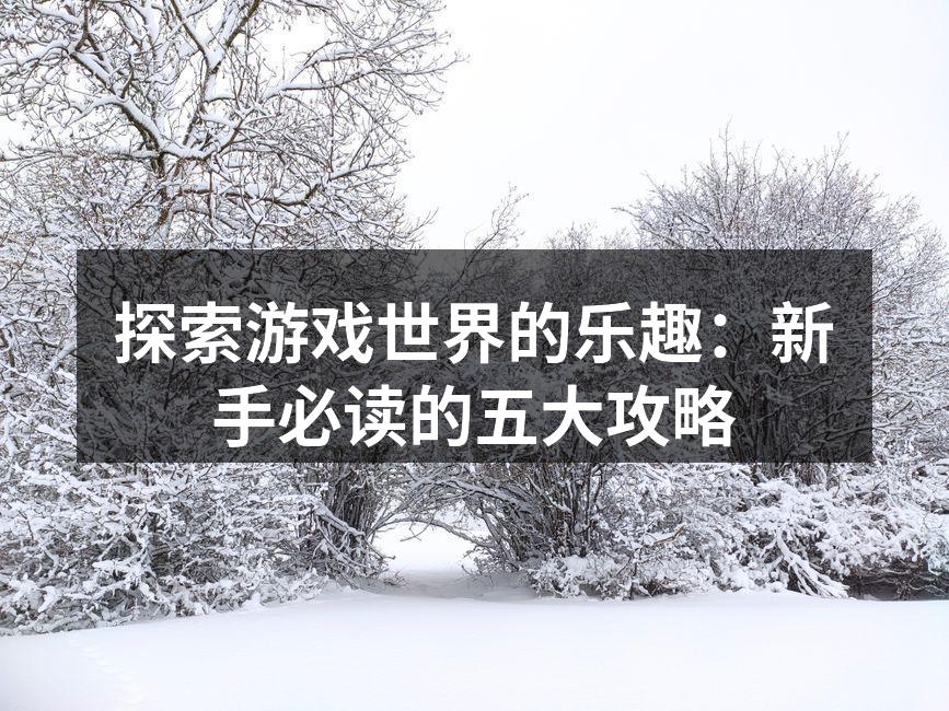 游戏角色的多样化选择
