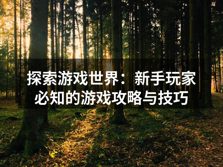 探索多样的游戏世界